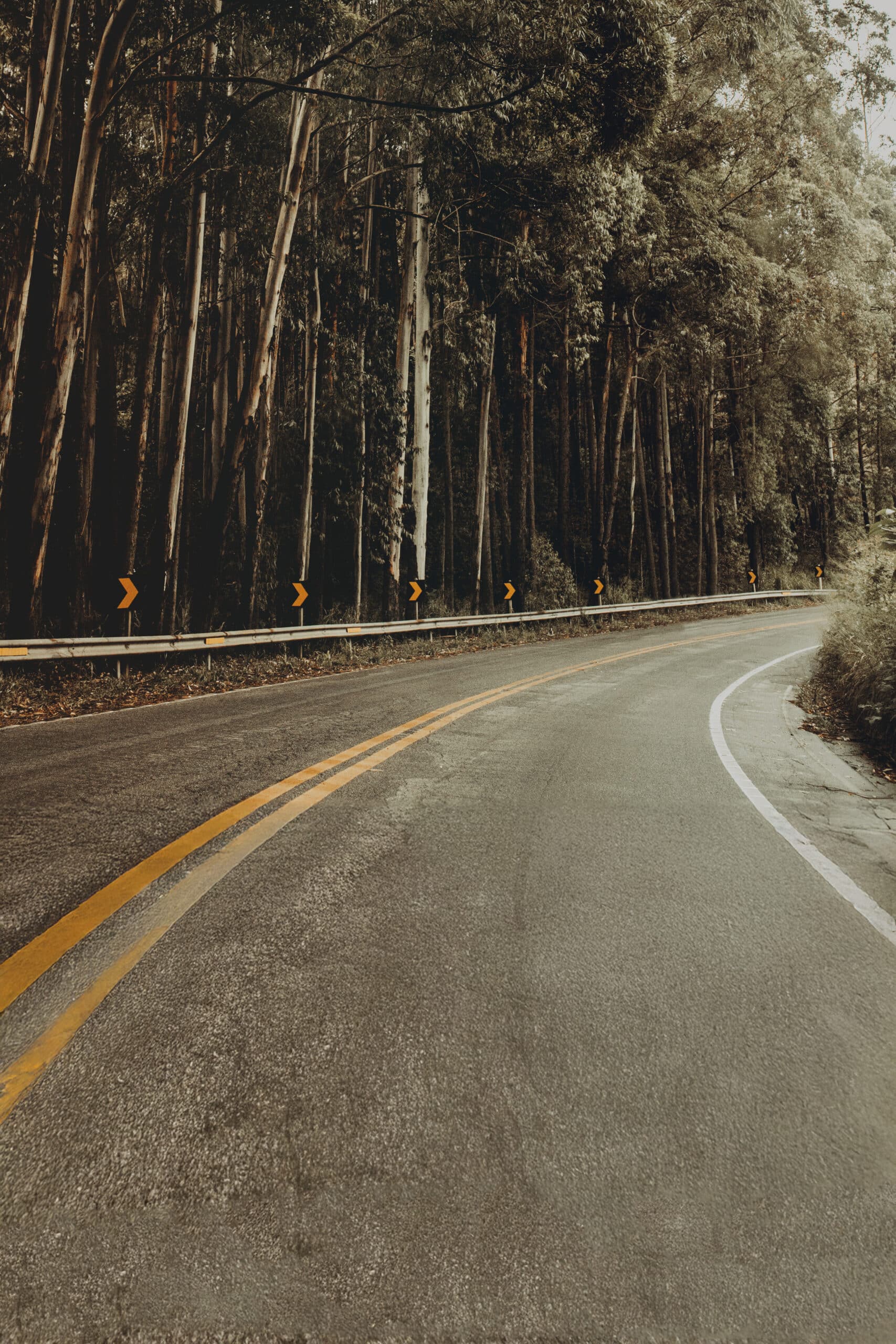 Dyżur niedzielny – 02.11.2024